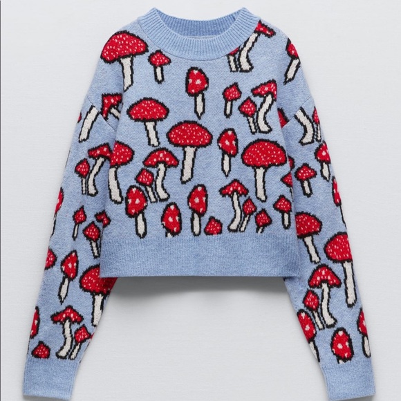Sweaters | Nwt Zara Mushroom Sweater 